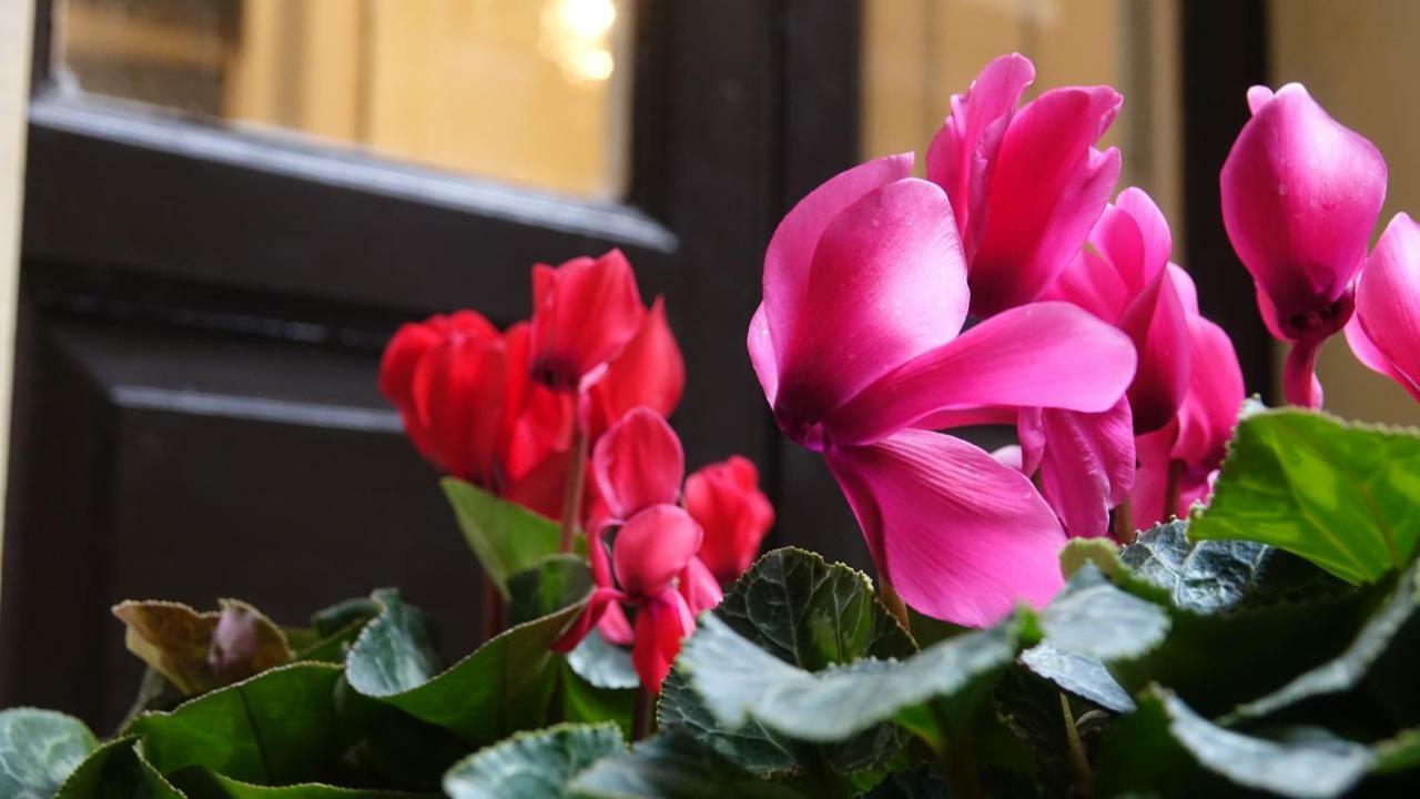 Bed and Breakfast House Vintage Catania Exterior foto